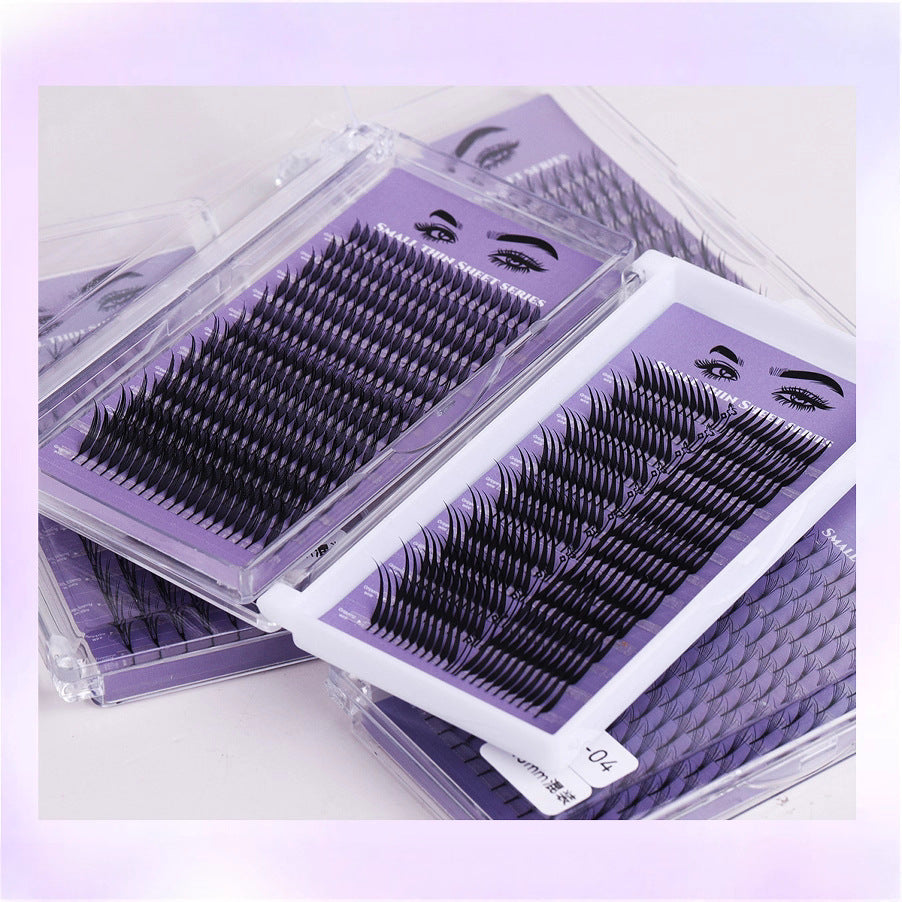 False Eyelashes Mixed Tray
